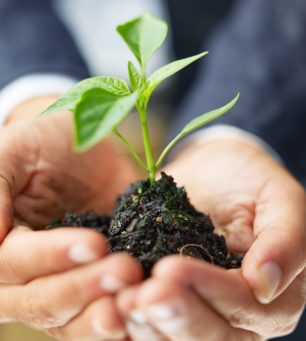 As green as a responsible business should be.