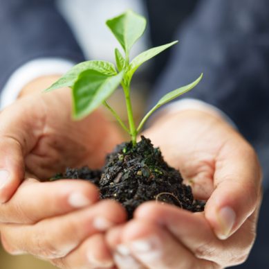 As green as a responsible business should be.