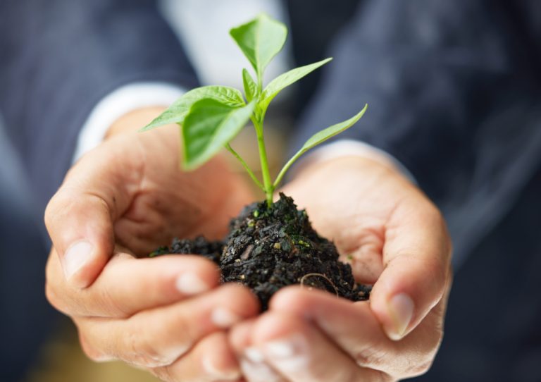 ERP ProBono